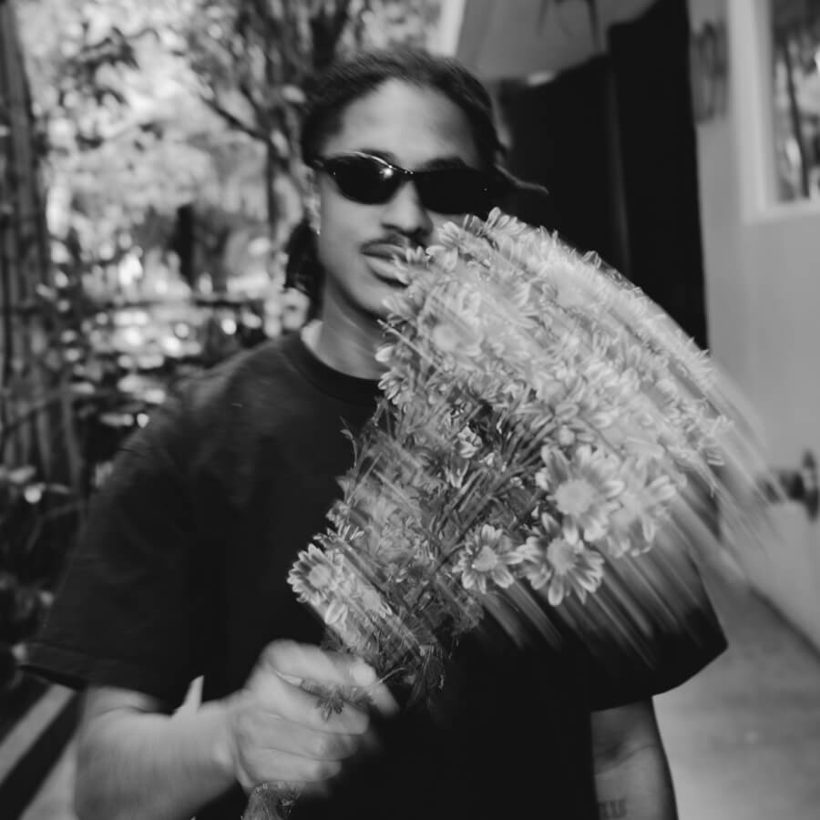 Atsuo the Pineapple Donkey