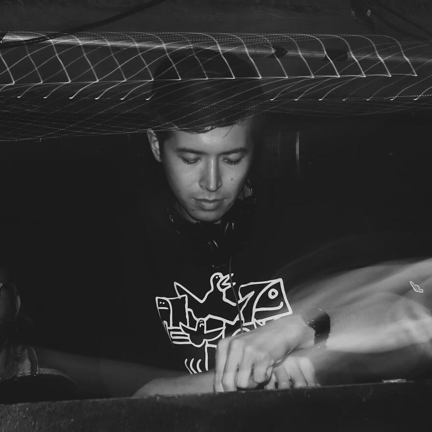 Atsuo the Pineapple Donkey